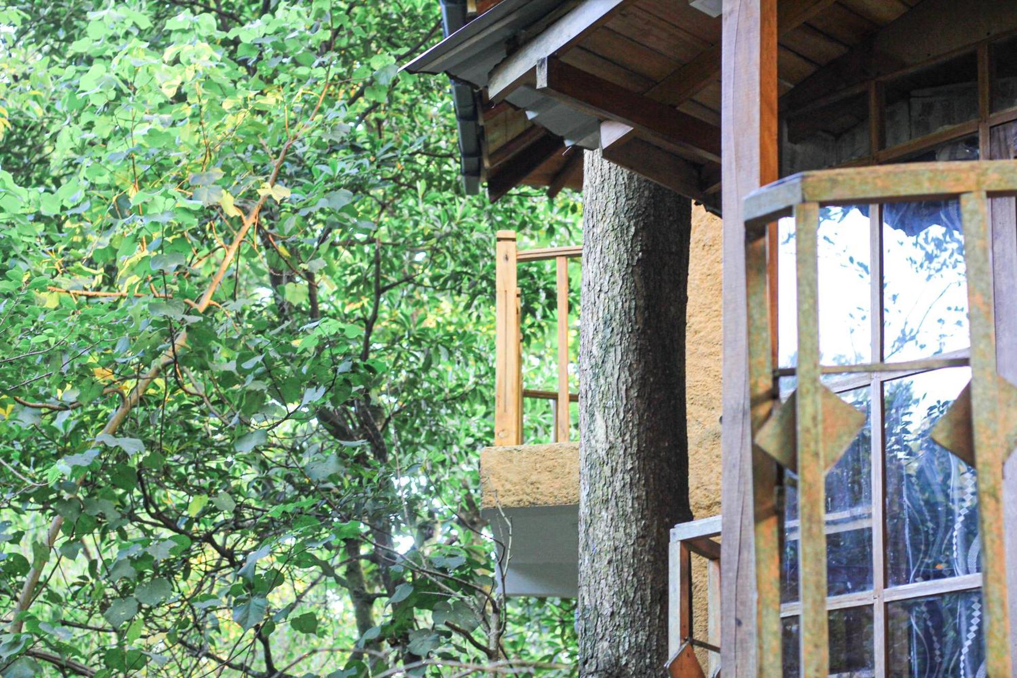 Seasons Four Eco Friendly Treehouse Guest House มาตารา ภายนอก รูปภาพ